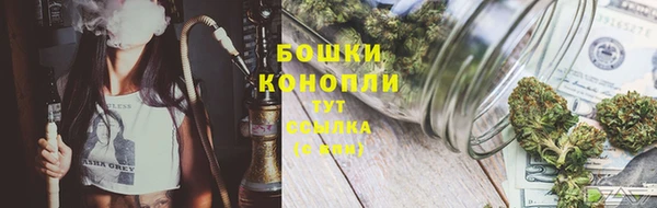 сатива Магадан