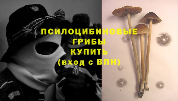 мяу мяу мука Снежинск