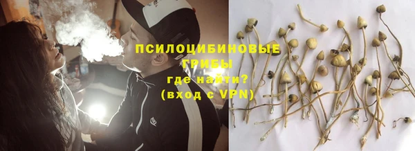 бошки Майский