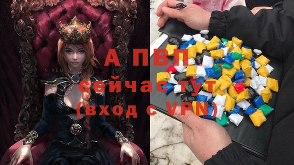 сатива Магадан