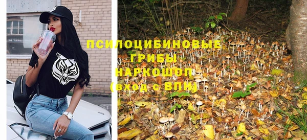 сатива Магадан