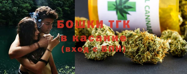 сатива Магадан