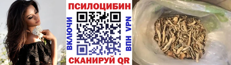 shop формула  Агидель  Псилоцибиновые грибы Cubensis 